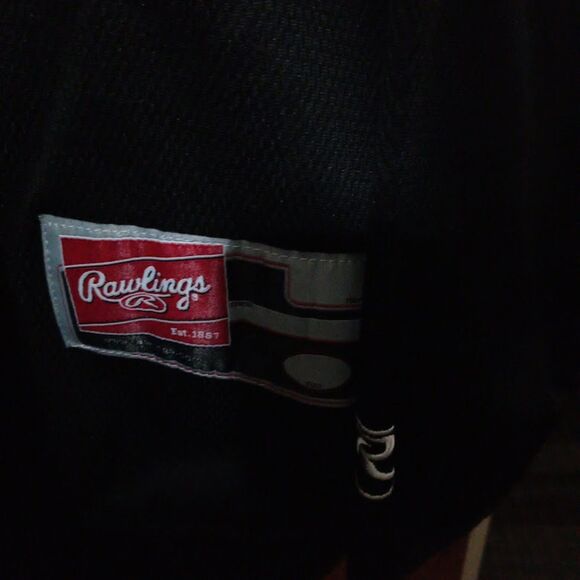 Waterloo Township Police Department Black Shirt L & Cap Rawlings Port Authority - Picture 4 of 12